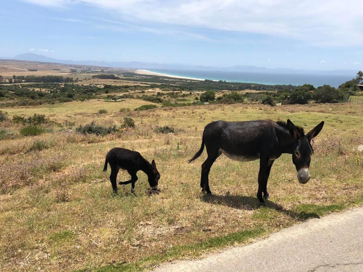 Appartamento El Estrecho Tarifa Esterno foto