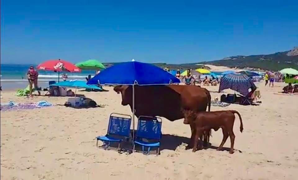 Appartamento El Estrecho Tarifa Esterno foto