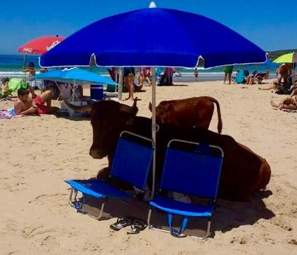 Appartamento El Estrecho Tarifa Esterno foto